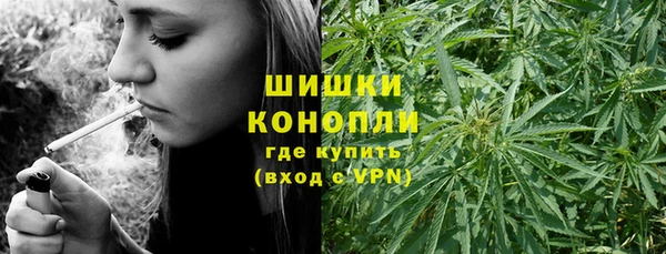 МДПВ Козельск