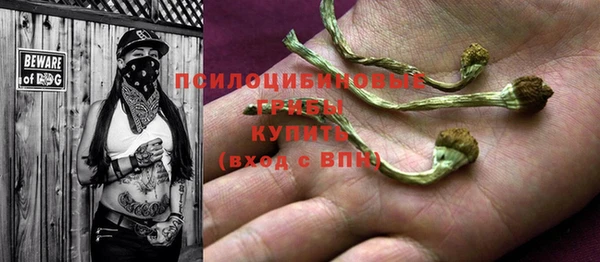 МДПВ Козельск