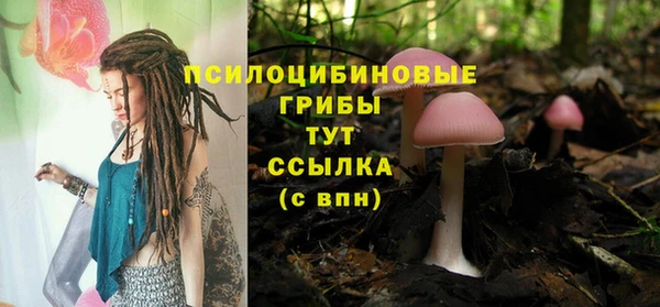бутират Кодинск