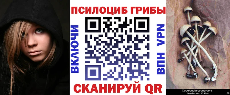 Галлюциногенные грибы Magic Shrooms  Купить  Асбест 